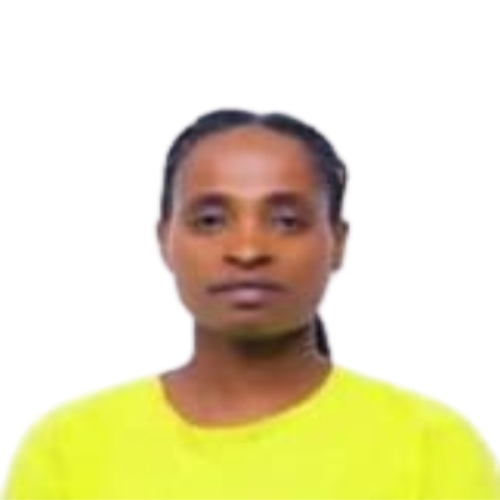 تيزيتا لاما أنشوت